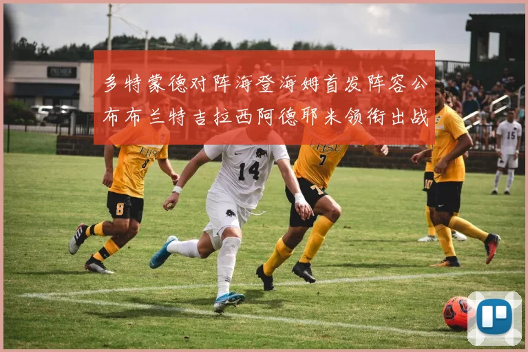 多特蒙德对阵海登海姆首发阵容公布布兰特吉拉西阿德耶米领衔出战