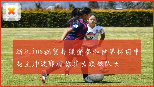 浙江ins祝贺朴镇燮参加世界杯前申花主帅波耶特称其为顶级队长
