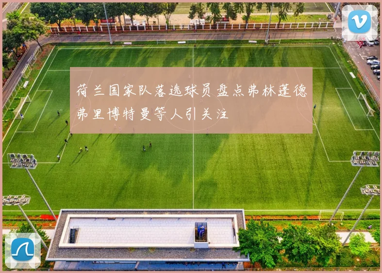 荷兰国家队落选球员盘点弗林蓬德弗里博特曼等人引关注